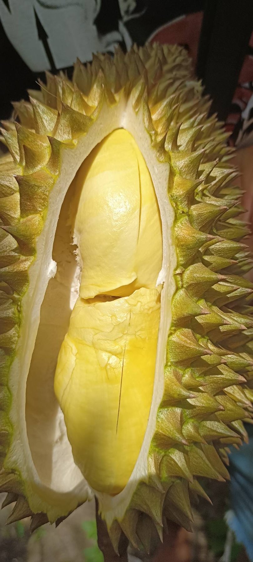 产地开榴莲